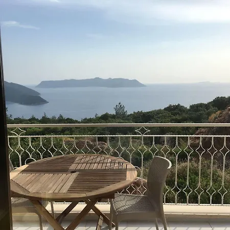 Derya Kaş